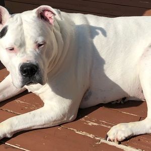 Meet your Posher, Savannah